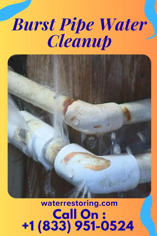 Burst Pipe Water Cleanup in Palmdale, PA