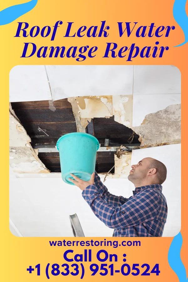 Roof Leak Water Damage Repair in Palmdale, PA