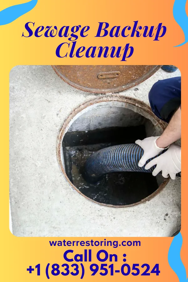 Sewage Backup Cleanup in Palmdale, PA