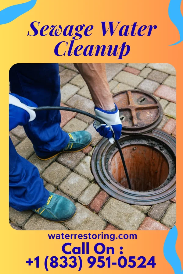 Sewage Water Cleanup in Palmdale, PA