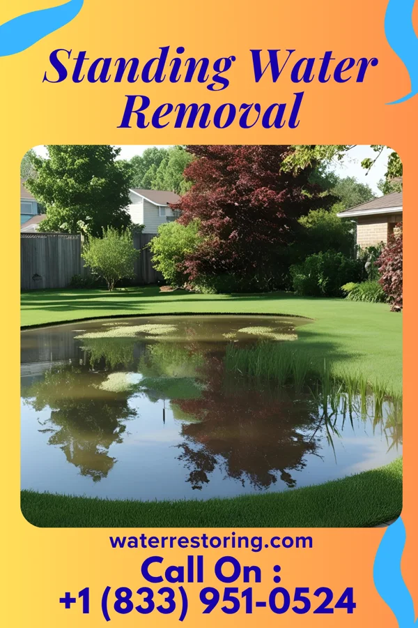 Standing Water Removal in Palmdale, PA